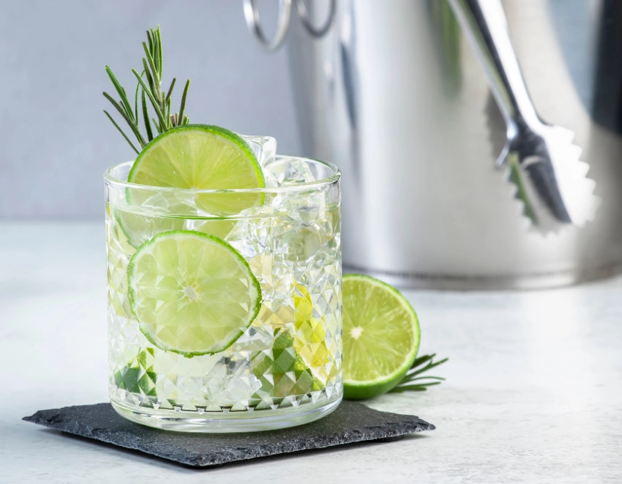 best gin with lime juice, tonic water and lime wedge