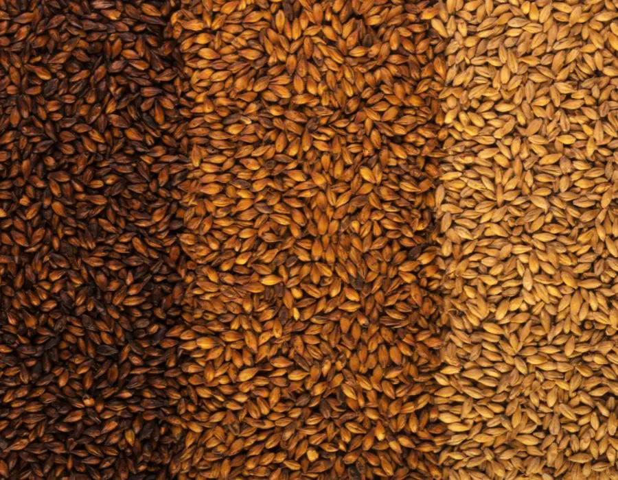 different single grains
